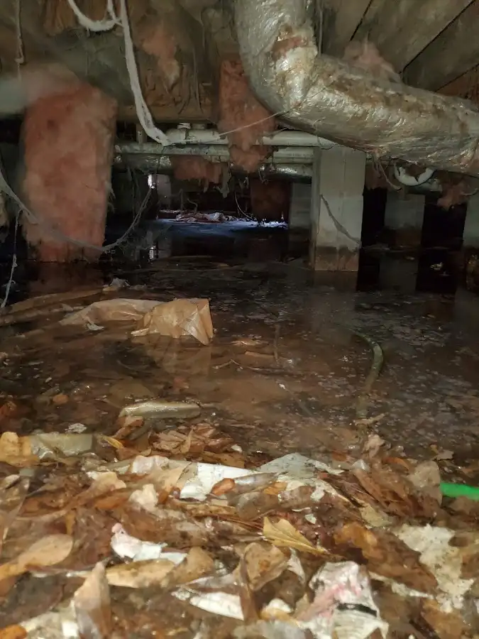 Crawl space flood assessment for Leak Detection & Repair in Forest Park